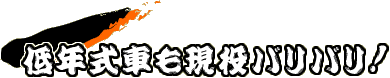 ��N���Ԃ������o���o��