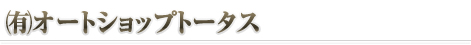 泣Iートショップトータス